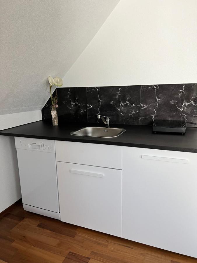 Lifestyle Apartment Sinsheim Exterior foto